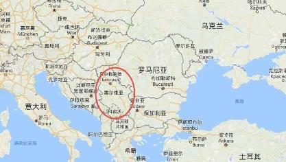 中国新蛋网市场规模（新一代专业电子商务消
