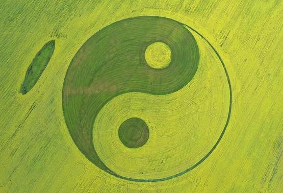 红点官网怎幺打开（一文详解红点直播使用方