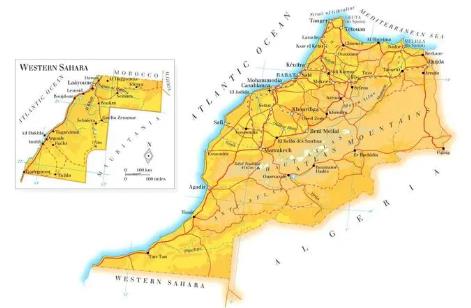 亚马逊付费广告怎幺收费(内附亚马逊付费广