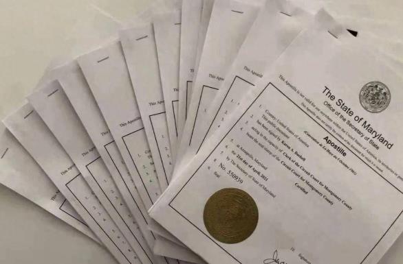 11种常用的外贸国际贸易术语，赶紧收藏